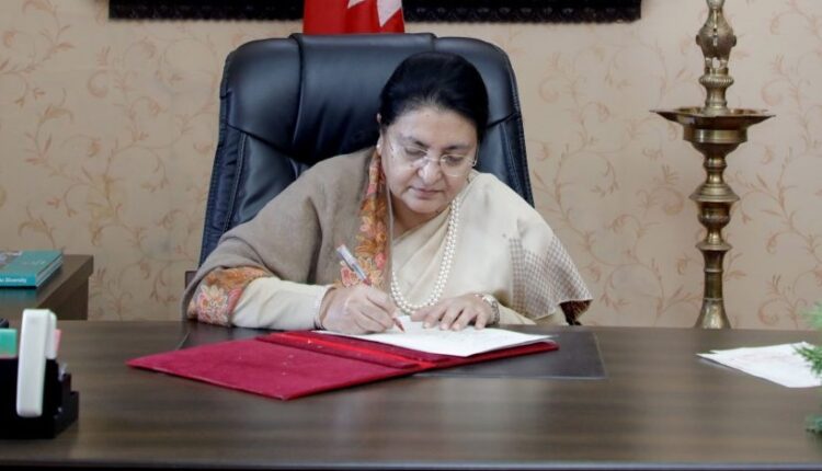 Biddha Bhandari