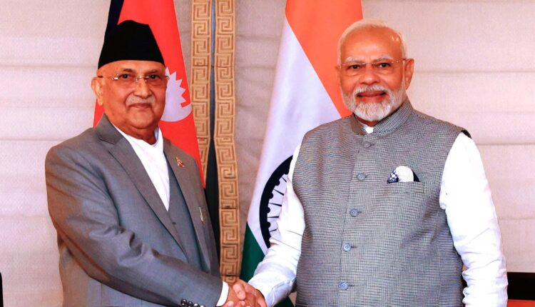 oli modi