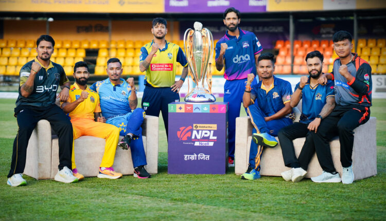 npl